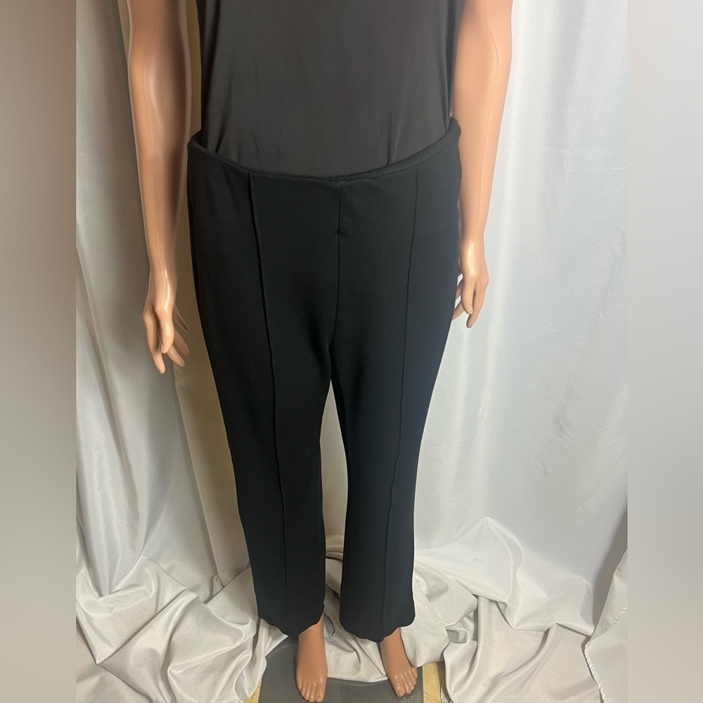 Sabrina Lauren Single Pleated Pull Up Pants Size M Black Double Waist Band